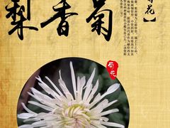 -小榄公饭店·岭南庭院餐厅(民安北路店)