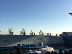 -秦皇岛新澳海底世界
