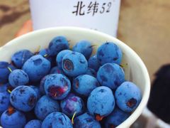 -北极村旅游风景区