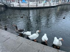 -水磨沟公园