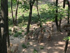 -哈尔滨北方森林动物园