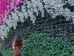 -石家庄市植物园