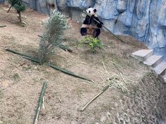 -泉州海丝野生动物世界