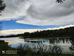 -东郊湿地公园