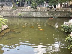 -浙江省博物馆(孤山馆区)