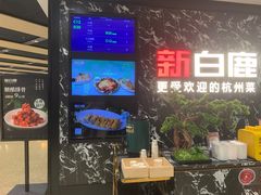-新白鹿餐厅(百联中环店)