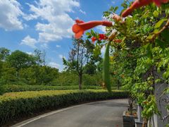 -嬉乐湾休闲旅游区