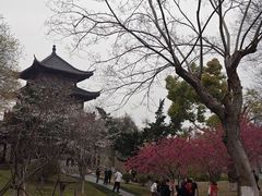 -堤角公园