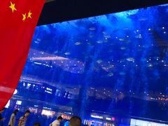 -成都浩海立方海洋公园