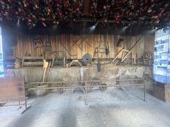 -西双版纳原始森林公园