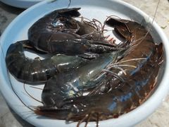 -淘米捞·米汤脆鲩鱼火锅(福田皇岗店)
