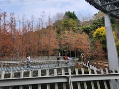 -福道