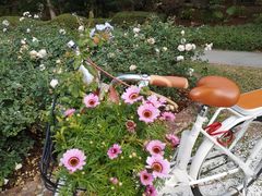 -人民公园(罗湖区)