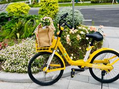 -双季花艺园艺市场(浦东店)