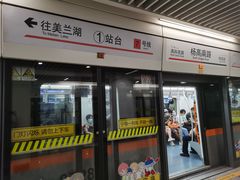 -杨高南路(地铁站)