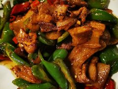 青椒回锅肉-美膳居川菜馆油焖大虾烧烤(卓刀泉店)