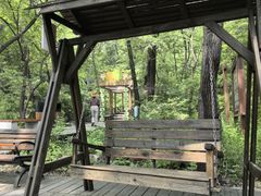 -大岭沟猕猴桃谷风景区