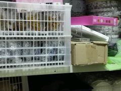 -妈咪烘手工蛋糕(唐园路店)