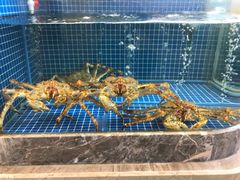 水产区-骏莱海鲜鱼港(五角场店)