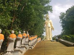 -西双版纳勐泐文化旅游区