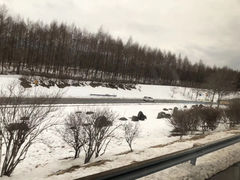 -富士山吉田線五合目