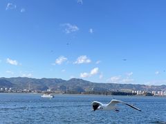 -海埂大坝