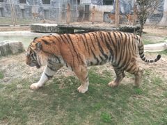 -黔灵山公园-南门售票处