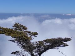 -峨眉山风景名胜区