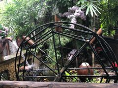 -园林美食城·本土农家菜(杨和镇店)