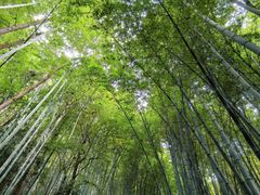 -敬亭山风景名胜区