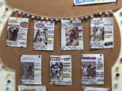 -汪说·狗咖·拼豆·宠物周边DIY(旺城大厦店)