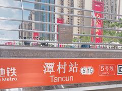 -潭村(地铁站)