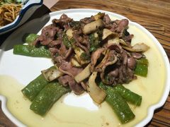 -猫头婴小酒馆FUN OWL(1912店)