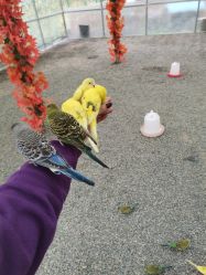 -萌宠亲子动物乐园(槐房万达店)