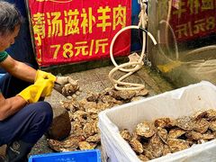 -花苑美食横琴生蚝火锅(拱北粤华路店)