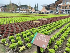 -中国天府农业博览园