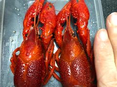 -囍榷·鲜美常州菜(恐龙园店)
