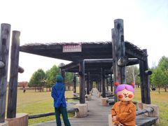 -北极村旅游风景区