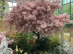 -上海鲜花港