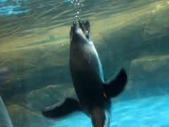 -常州海昌海洋探索馆