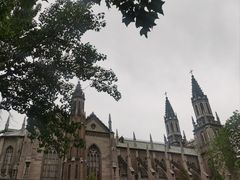 -山东大学(洪家楼校区)