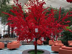-北京望京凯悦酒店The Lounge大堂酒廊