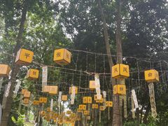 -广西壮族自治区药用植物园