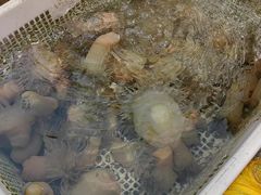 -胖大嫂渔家排档·全海景餐厅(渔村店)