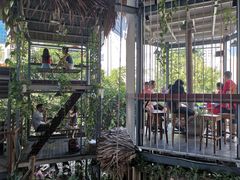 -Rainforest