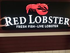 -RED LOBSTER(多伦多DT店)