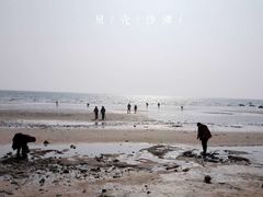 -贝壳沙滩