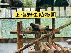 -上海野生动物园