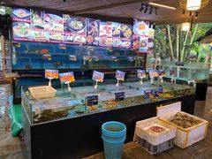 -陶缘一号·四季缘·老字号顺德菜·户外婚礼家宴(西滘店)