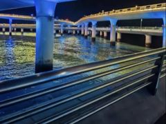 -演武大桥观景平台